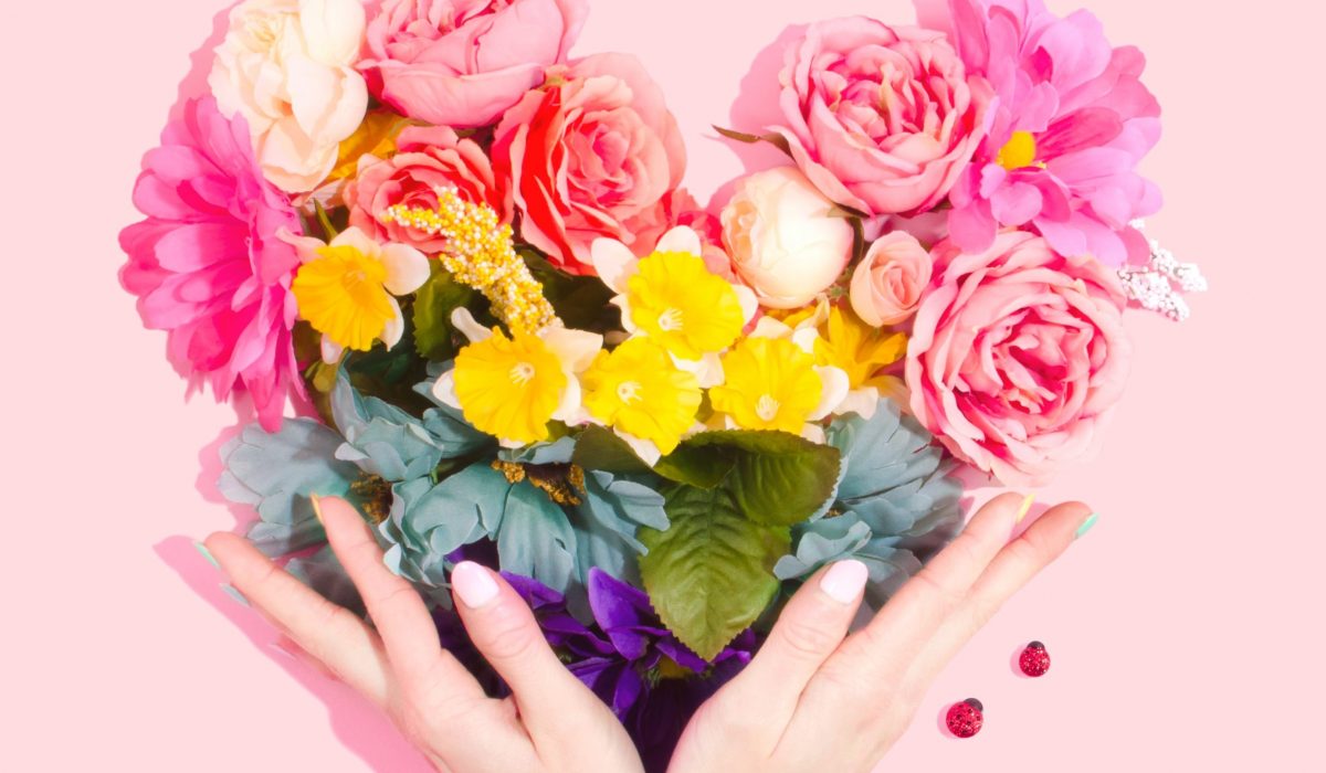 amy-shamblen-qdPnQuGeuwU-unsplash amy-shamblen-qdPnQuGeuwU-unsplash