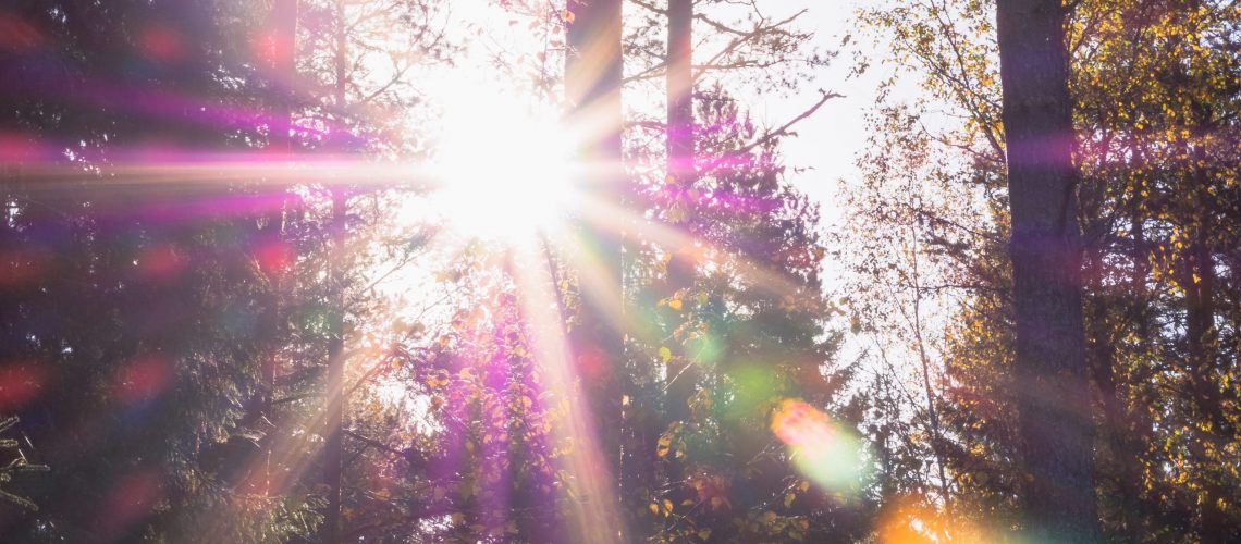 patrick-5E-_orYLhs0-unsplash